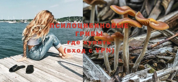 МДПВ Алексеевка