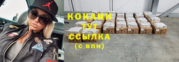 шишки Алзамай