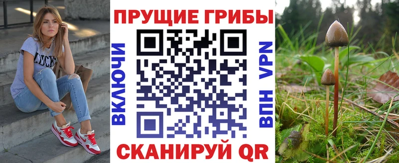 Псилоцибиновые грибы Magic Shrooms Брянск